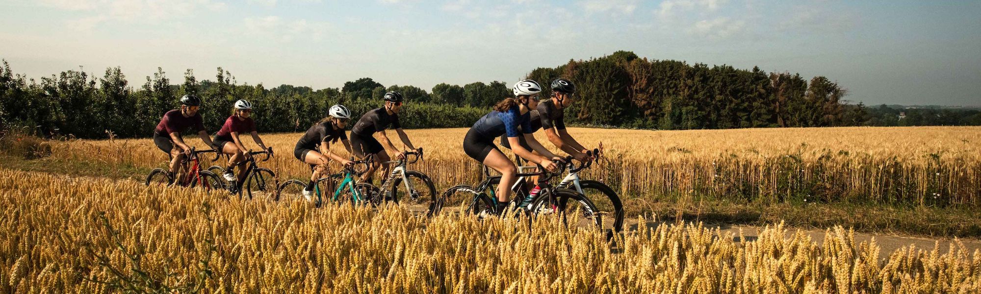 Bioracer summer